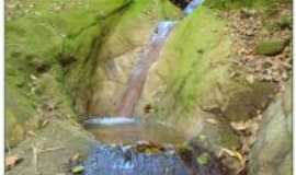 Guabiruba - Ribeiro - Parque Nacional da Serra do Itaja, Por J. P. Maaneiro