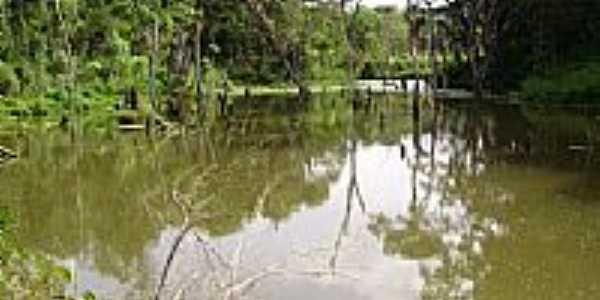 Lago natural em Monte Castelo-SC-Foto:Jair Teixeira