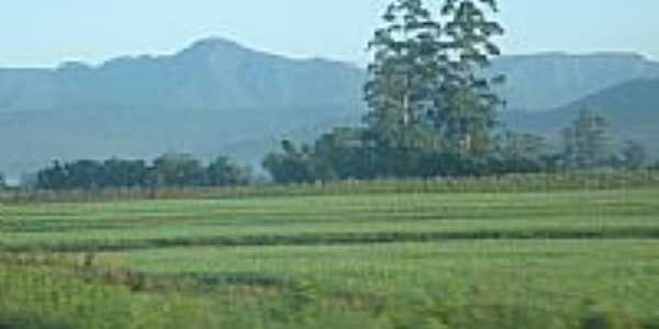 Vista da Serra Geral-Foto:JucaLodetti 