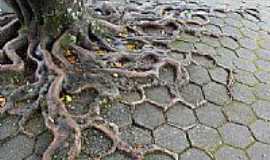 Nova Trento - A Natureza se impe em Nova Trento-SC-Foto:Sandro Salomon