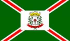 Pinhalzinho - Bandeira da cidade
