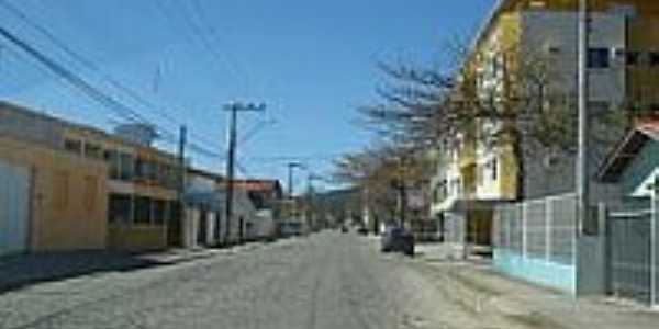 Avenida Senador Fontana em Porto Belo-Foto:Carlos C. Nasato