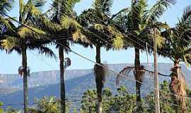 Praia Grande - Praia Grande-SC-A caminho dos Canyons-Foto:Gilberto De Bona 