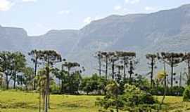 Praia Grande - Praia Grande-SC-Araucrias e a serra-Foto:Marlon Antonelli