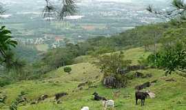 Praia Grande - Praia Grande-SC-Pastagem e ao fundo a cidade-Foto:Jiro Sumino