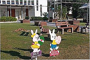 Imagens da cidade de Saltinho - SC