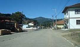 So Bonifcio - Cmara Municipal