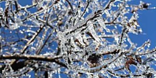 Imagens da cidade de So Joaquim/SC com queda de neve em Julho/2021-Foto:Mycchel Legnaghi