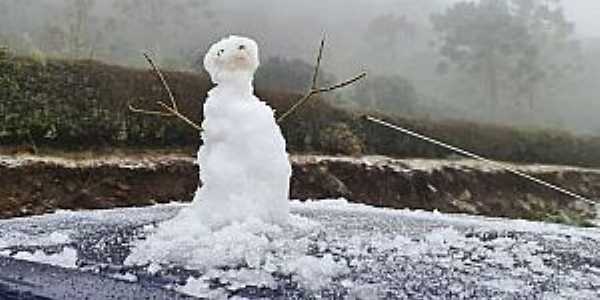 Imagens da cidade de So Joaquim/SC com queda de neve - Julho/2021-Foto:NSC Total