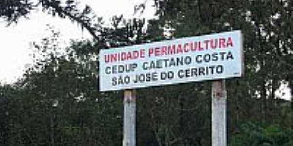 ncleo de permacultura(cultura permanente) do Colgio Agrcola