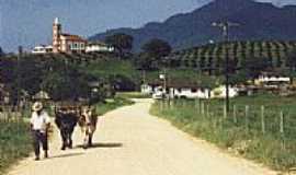 Tijucas - Timb, localidade da zona rural de Tijucas.