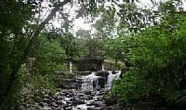 Treviso - Cachoeira em Guanabara,Treviso-SC-Foto:Jos Carminatti