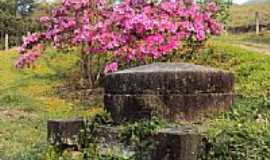 Treviso - Monumento e flores em Treviso-SC-Foto:jair armando amoroso