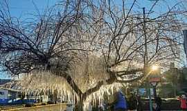 Urupema - Imagens de queda de neve em 2022, na cidade de Urupema/SC - por Evilin Cristini