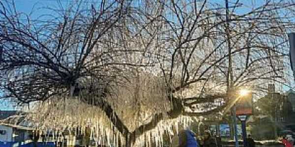 Imagens de queda de neve em 2022, na cidade de Urupema/SC - por Evilin Cristini