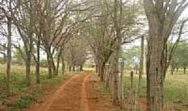 Nova Redeno - Caminhos