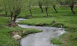 Vargem do Cedro - Natureza 