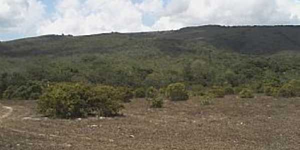 Areia Branca-SE-Vista da regio-Foto:pagodeiro101