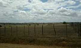 Itabaiana - Campo de pastagem em P do Veado, Itabaiana-SE-Foto:marcos_mbs2012