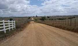 Itabaiana - Estrada de acesso para Itabaiana-SE-Foto:marcos_mbs2012