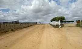 Itabaiana - Estrada de acesso para P do Veado em Itabaiana-SE-Foto:marcos_mbs2012