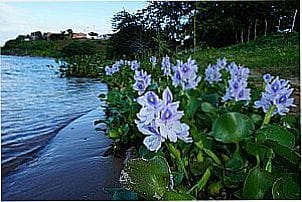 Imagem da cidade de Lagoa Funda - SE