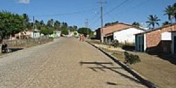 Rua do Povoado Capunga em Moita Bonita-SE-Foto:Almeida Bispo