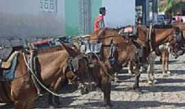 Monte Alegre de Sergipe - O txi dos carretos-Foto:Sergio Luiz Zampieri