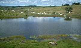 Pedrinhas - Lago e Pasto-Foto:Raelisson 