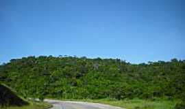 Santa Luzia do Itanhy - Rodovia, ao fundo Mata Atlntica rea preservada-Foto:CARLOS AUGUSTO SIQUE