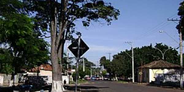 guas Vermelhas-SP-Avenida Principal-Foto:Roselito Fvero da Silva