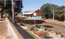 Alfredo Guedes - Rua da cidade de Alfredo Guedes - SP