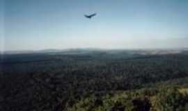 Angatuba - visto de cima do mirante de angatuba ...florestal, Por BRUNO APUS CEPHEUS CAMARGO