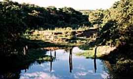 Aparecida de Monte Alto - Rio da Ona-Foto:Zekinha