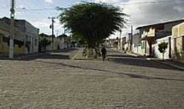 Jacar dos Homens - Jacar dos Homens-AL-Avenida central-Foto:erickefan