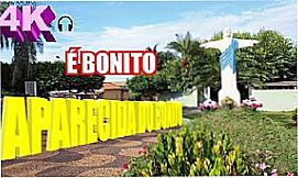 Aparecida do Bonito - P�rtico da cidade de Aparecida do Bonito - SP