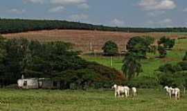 Arealva - Arealva-SP-Paisagem rural-Foto:gustavo_asciutti