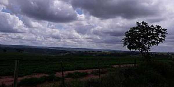 Imagens da localidade de Avencas Distrito de Marlia - SP