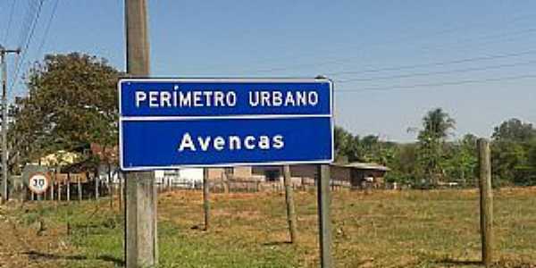 Imagens da localidade de Avencas Distrito de Marília - SP