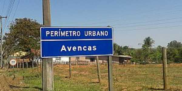 Imagens da localidade de Avencas Distrito de Marlia - SP