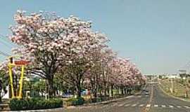 Bastos - Imagens da cidade de Bastos - SP