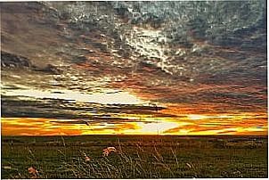 Vista rural de Bela Vista S�o-Carlense, distrito de S�o Carlos - SP