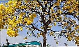 Bom Retiro da Esperan�a - Bela imagem de Bom Retiro da Esperan�a - SP