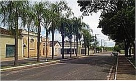 Botafogo - Avenida principal de Botafogo, distrito de Bebedouro - SP