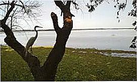 Brejo Alegre - Imagem do Munic�pio de Brejo Alegre - SP