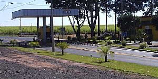 Bueno de Andrada-SP-Pedgio da Coxinha-Foto:MARCO AURLIO ESPARZA