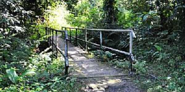 Caibura-SP-Ponte na Trilha do Parque-Foto:www.webventure.com.br