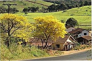 Vista parcial de Campestrinho - SP
