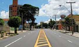 Campinas - Campinas-SP-Avenida Andrade Neves-Foto:Eduardo Dantas