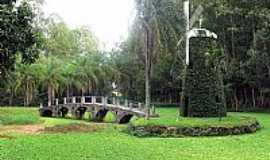 Campinas - Campinas-SP-Moinho e Ponte na antiga Fazenda Bradesco-Foto:Eduardo Dantas